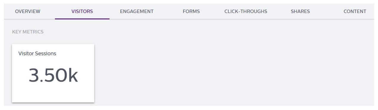 Social_Pro_-_Experience_Metrics_-_Detailing_Metrics_-_Visitors_1.png