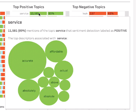 Analytics_-_Product_Sentiment_-_Top_Topics_2.png